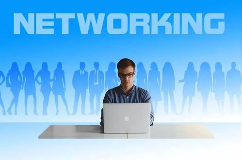 如何通过企业管理咨询工作经历申请加拿大雇主担保移民 证明材料与策略解析